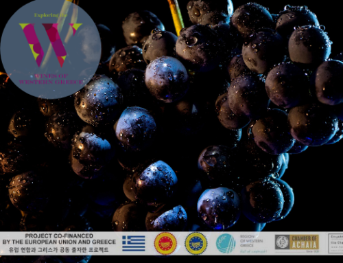 Western Greece PGI Ilia Ilia Grape Varieties – Avgoustiatis