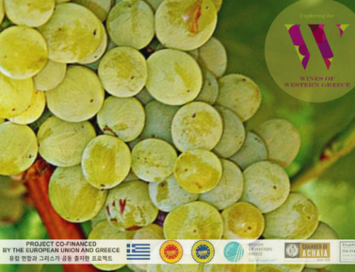 Western Greece PGI Achaia, PGI Slopes of Aigialia Native Grape Varieties – Assyrtiko